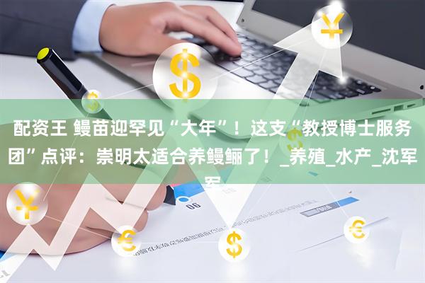 配资王 鳗苗迎罕见“大年”！这支“教授博士服务团”点评：崇明太适合养鳗鲡了！_养殖_水产_沈军